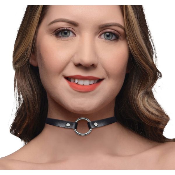 Lush Pet Silver Ring Slim Choker Supply - Image 2
