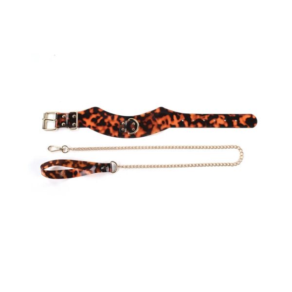 Amber Collar with Leash Online now - Image 3