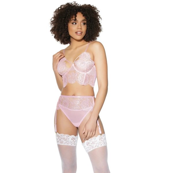 Crystal Pink Longline Bra, Garter Belt & Panty For Cheap