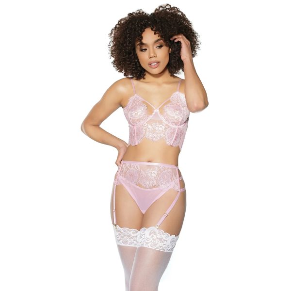 Crystal Pink Longline Bra, Garter Belt & Panty For Cheap - Image 2